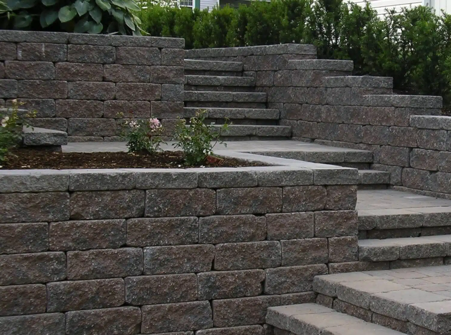 landscaping lawn care 15