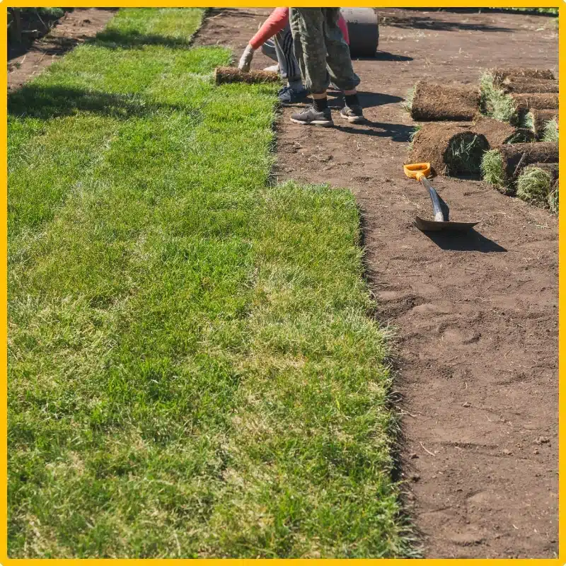 Sod installationand surfacing