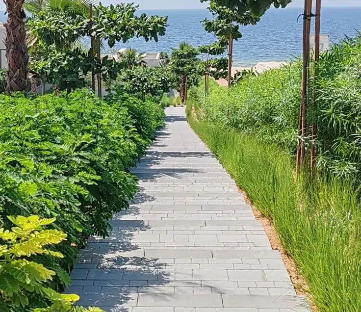 Interlock walkway leading to a front entrance