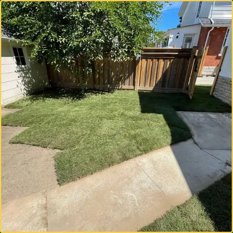 Sod installation underway on a Kitchener property