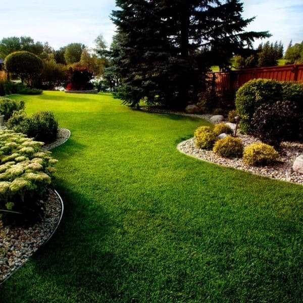 Curved garden path through planted beds and mature foliage