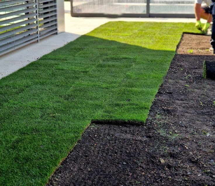 Sod laid on a new build in Hespeler Village, Cambridge