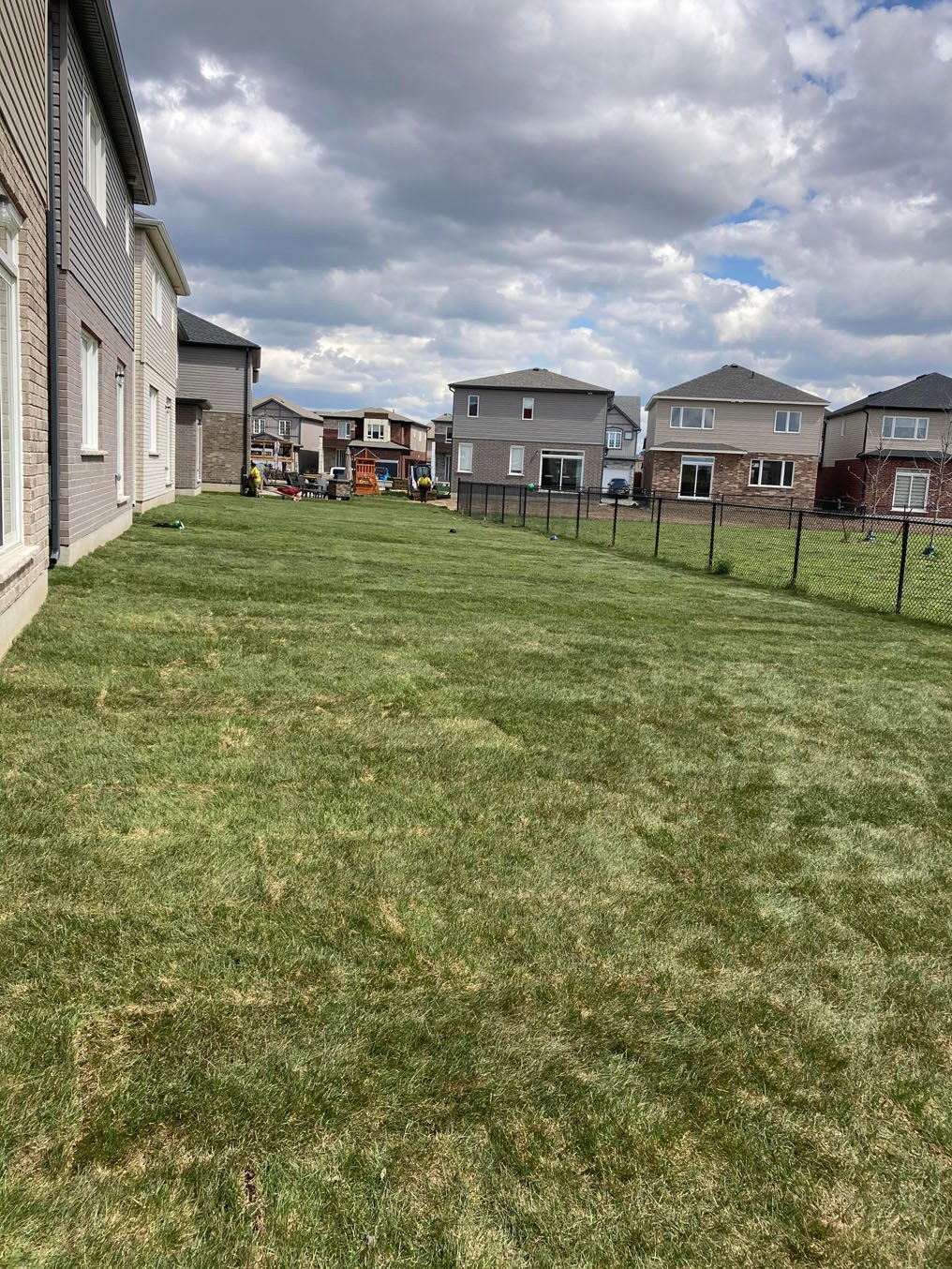New Lawn Sod Fenced Backyard Cambridge
