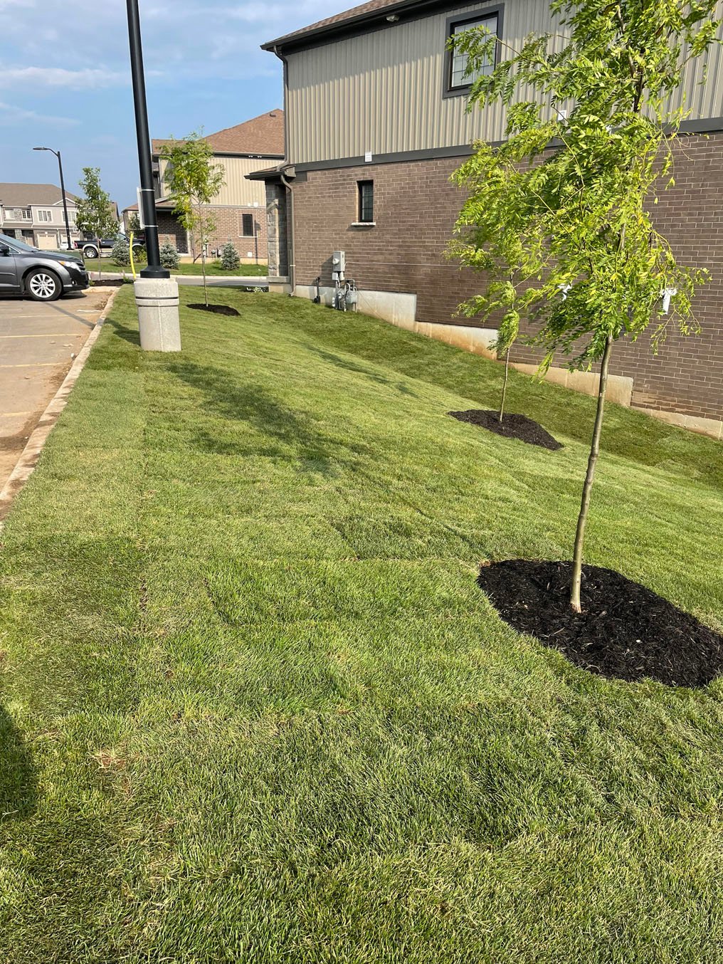 Side Yard Sod Installation Cambridge