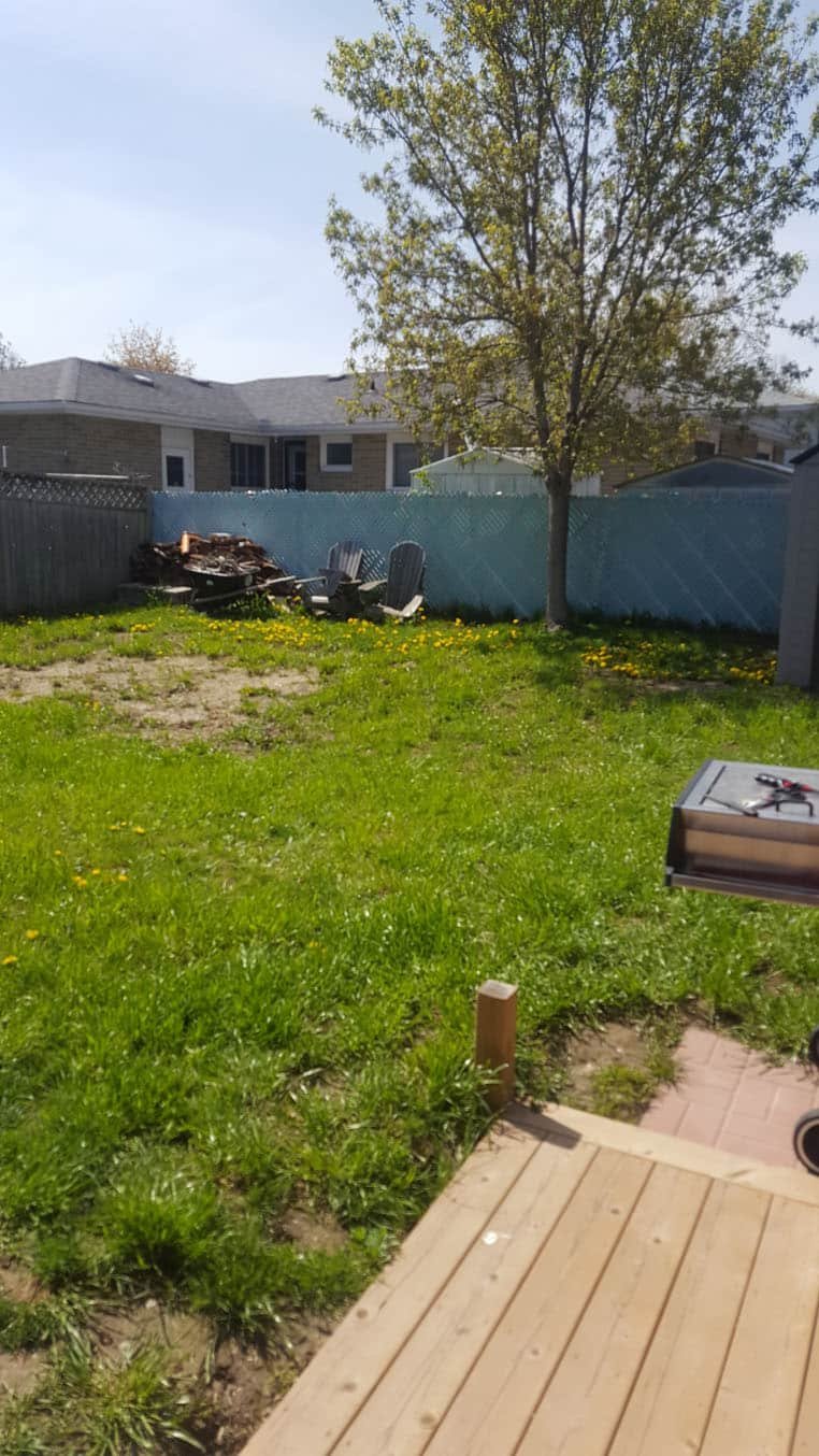 Sod Installation Before Hespeler Cambridge