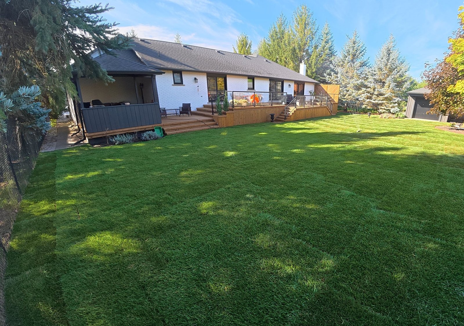 Finished Backyard Sod Lawn Mannheim