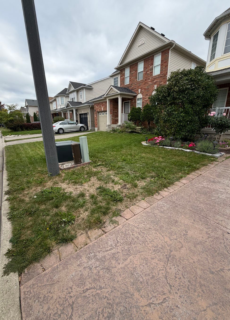 Front Lawn Before Sod Replacement Cambridge