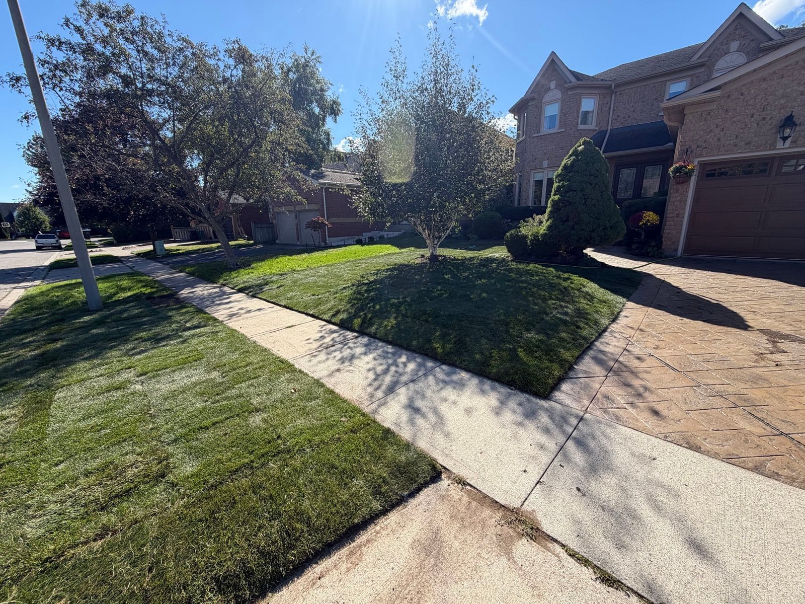 New Sod Front Lawn And Boulevard Cambridge