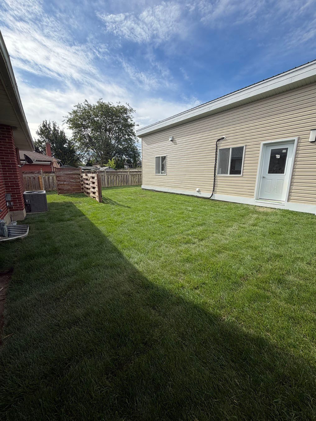 New Sod Lawn After Construction Kitchener