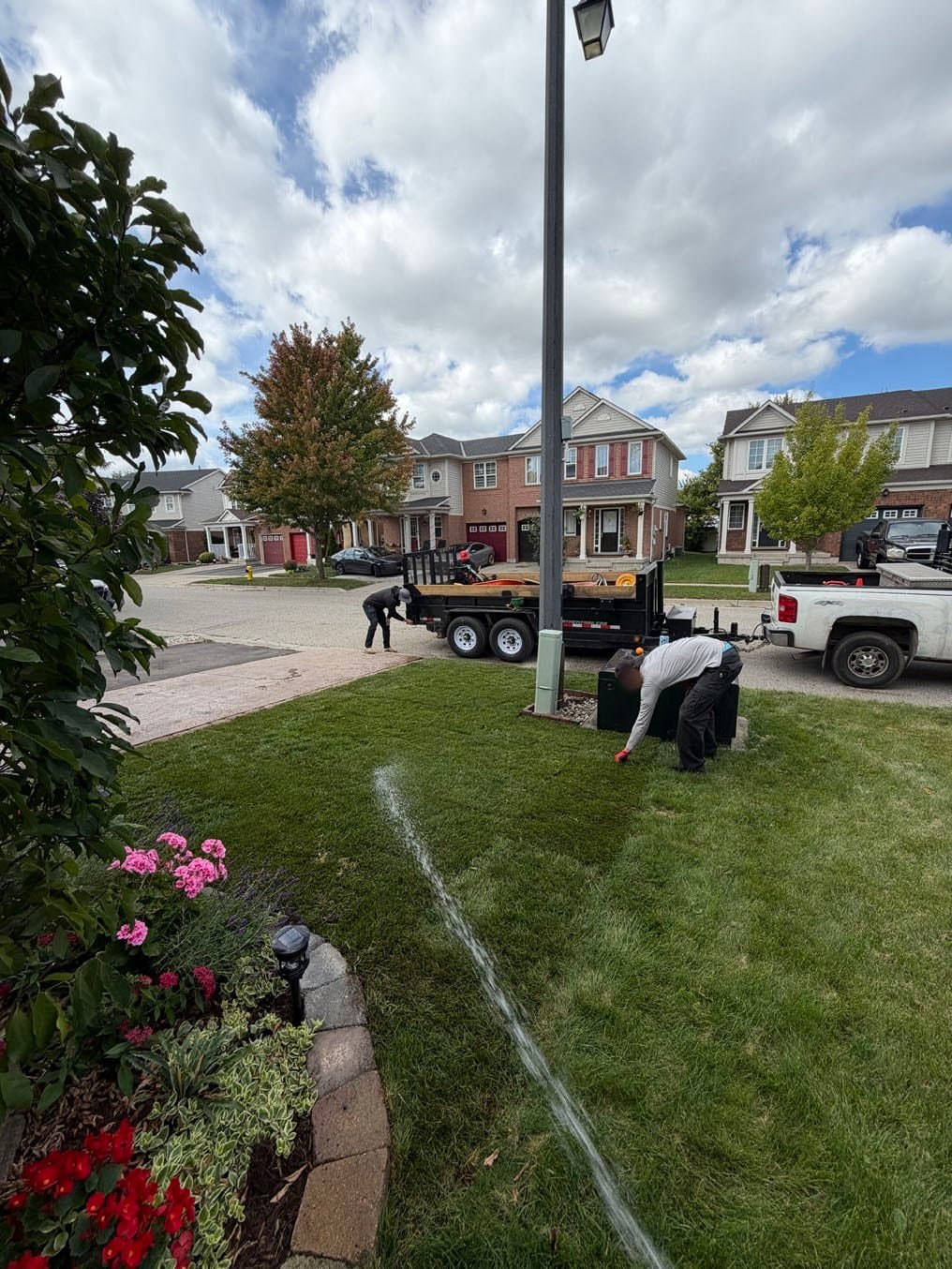 New Sod Watering By Utility Cabinet Cambridge