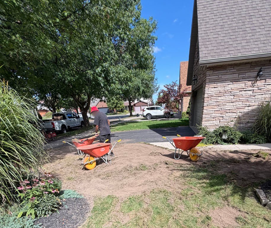 Old Sod Removal Wheelbarrows Front Yard Waterloo