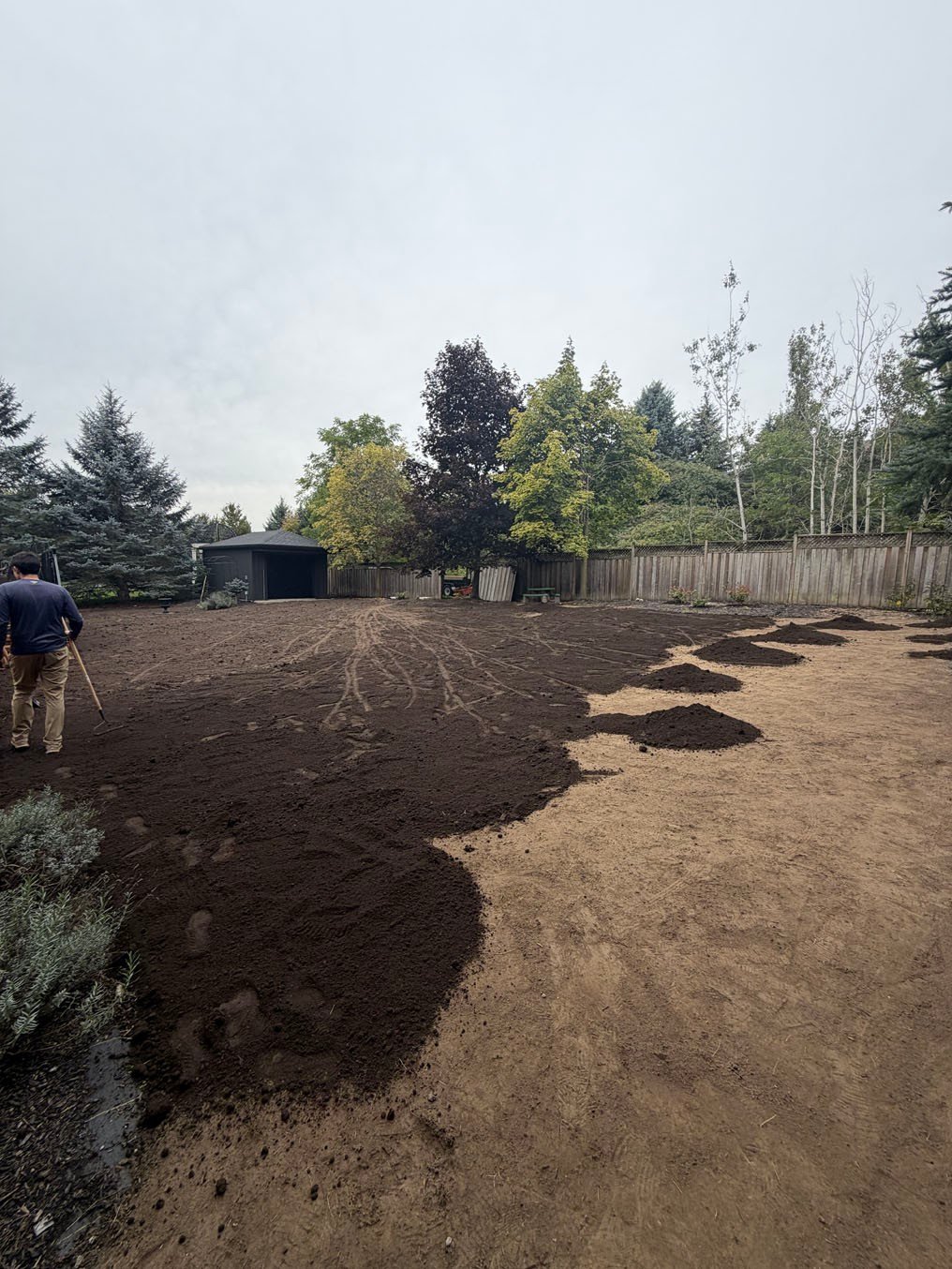 Topsoil Spread Backyard Re Sod Mannheim