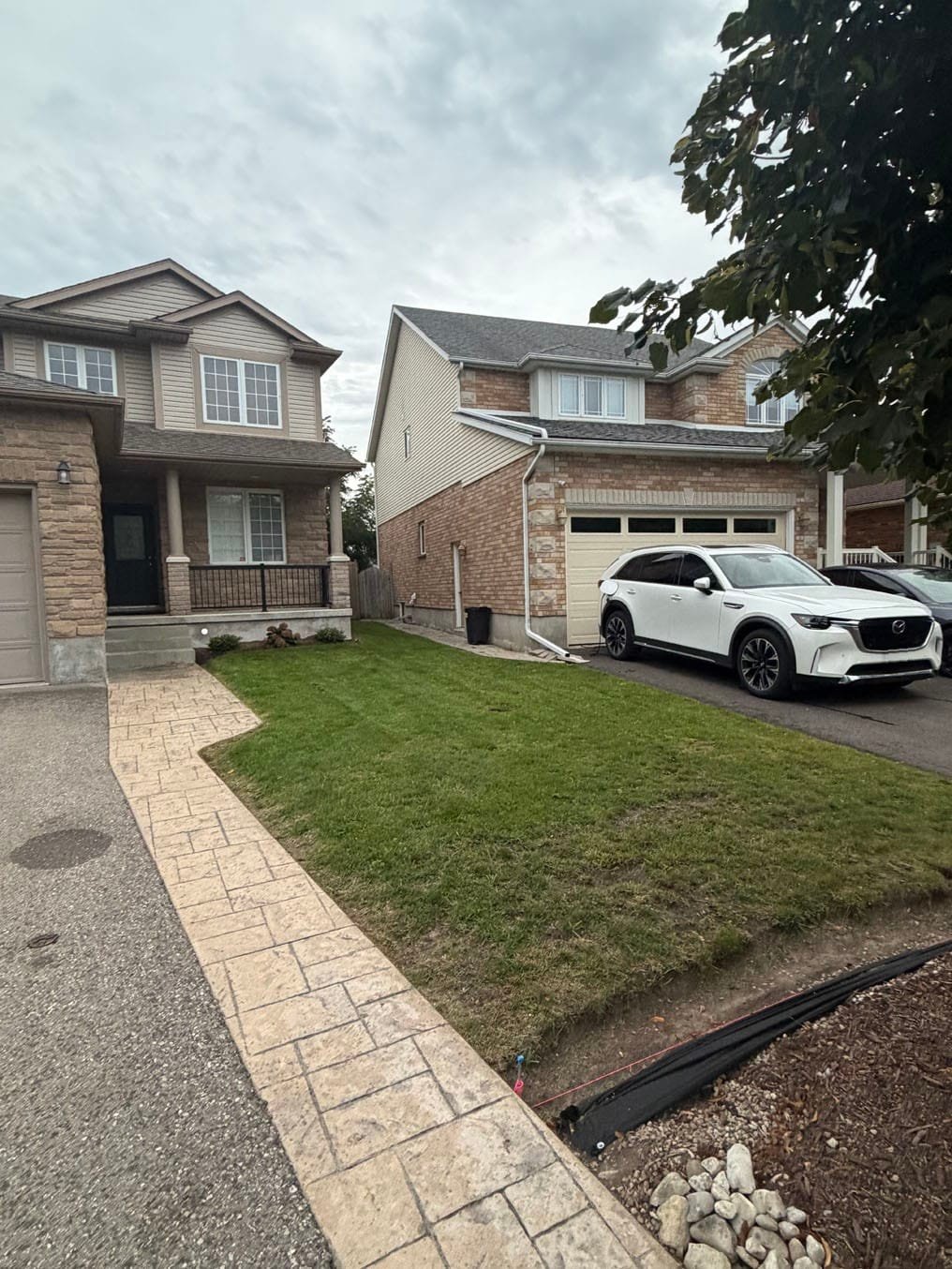 Worn Front Lawn Beside Walkway Waterloo